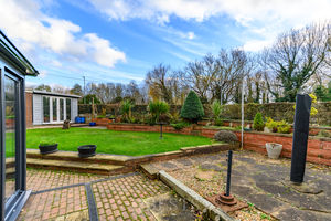 Paddock Rise Beechwood